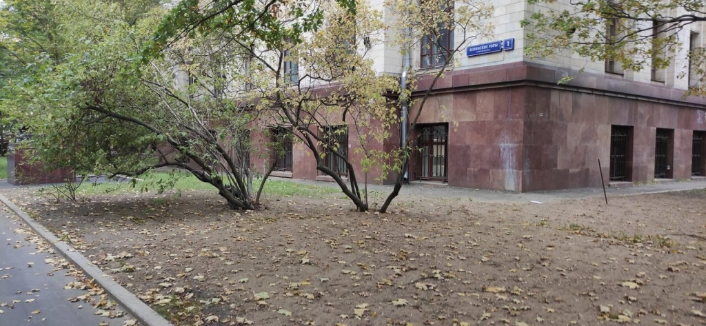 Двор